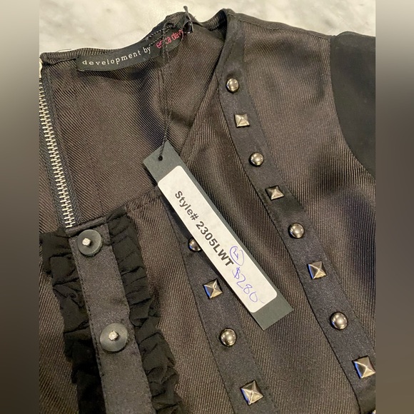 Gorgeous NWT Development by Erica Davies Silk Sleeveless Studded Top, size 4 - Picture 6 of 8